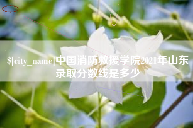 大兴安岭中国消防救援学院2021年山东录取分数线是多少