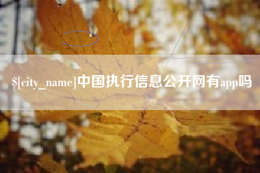 大兴安岭中国执行信息公开网有app吗