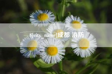 大兴安岭成都 消防