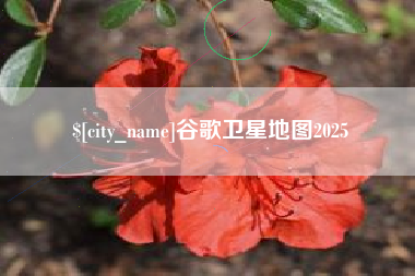 大兴安岭谷歌卫星地图2025