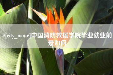 大兴安岭中国消防救援学院毕业就业前景如何