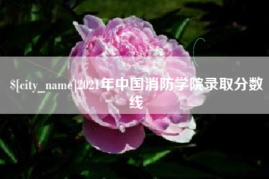大兴安岭2021年中国消防学院录取分数线
