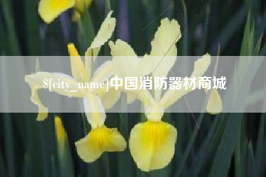 大兴安岭中国消防器材商城