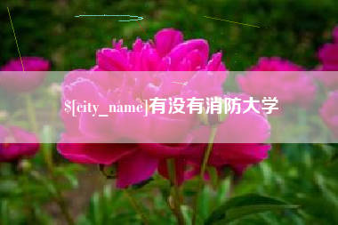 大兴安岭有没有消防大学