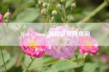 大兴安岭消控证官网查询