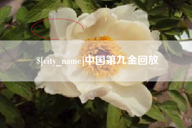 大兴安岭中国第九金回放