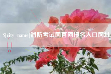 大兴安岭消防考试网官网报名入口网址