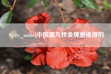 大兴安岭中国第九枚金牌是谁得的