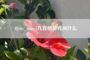 大兴安岭九宫格游戏叫什么