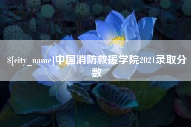 大兴安岭中国消防救援学院2021录取分数