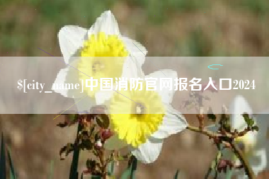 大兴安岭中国消防官网报名入口2024