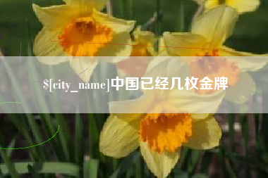 大兴安岭中国已经几枚金牌