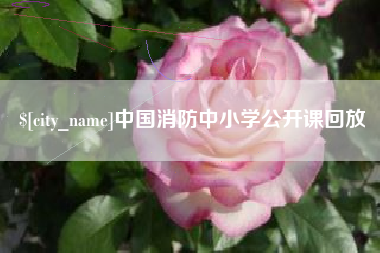 大兴安岭中国消防中小学公开课回放