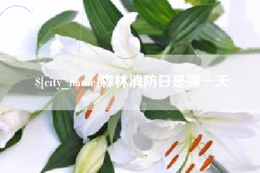 大兴安岭森林消防日是哪一天