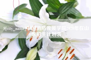大兴安岭中国消防救援学院2020年在山东招生计划表