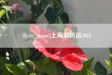 大兴安岭上海消防员2021