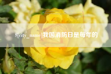 大兴安岭我国消防日是每年的