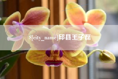 大兴安岭邱县王子磊