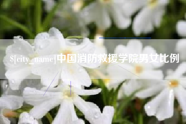 大兴安岭中国消防救援学院男女比例