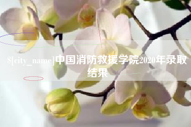 大兴安岭中国消防救援学院2020年录取结果