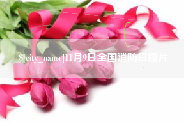 大兴安岭11月9日全国消防日图片