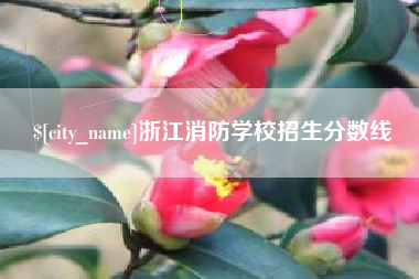大兴安岭浙江消防学校招生分数线