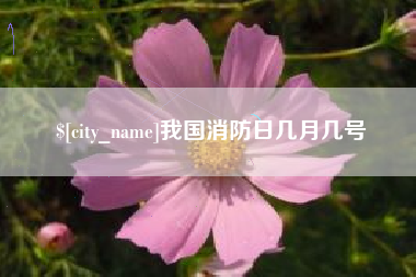 大兴安岭我国消防日几月几号