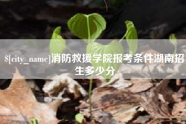 大兴安岭消防救援学院报考条件湖南招生多少分