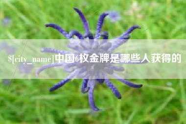 大兴安岭中国6枚金牌是哪些人获得的