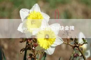 大兴安岭奥运会39块金牌