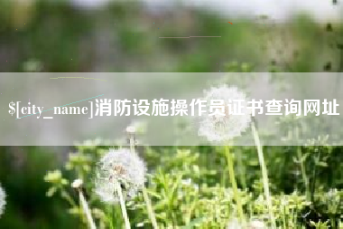 大兴安岭消防设施操作员证书查询网址