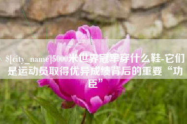 大兴安岭5000米世界冠军穿什么鞋-它们是运动员取得优异成绩背后的重要“功臣”