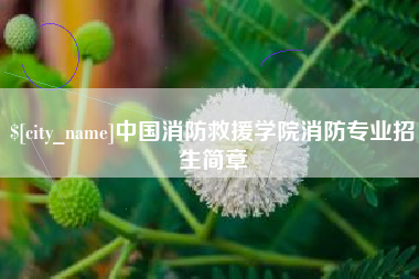 大兴安岭中国消防救援学院消防专业招生简章