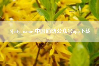 大兴安岭中国消防公众号app下载