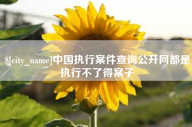 大兴安岭中国执行案件查询公开网都是执行不了得案子