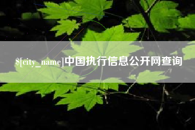 大兴安岭中国执行信息公开网查询