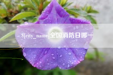 大兴安岭全国消防日哪一