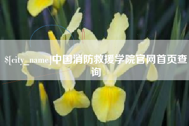 大兴安岭中国消防救援学院官网首页查询