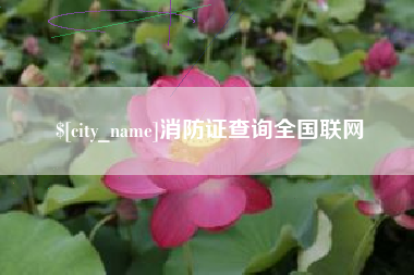 大兴安岭消防证查询全国联网