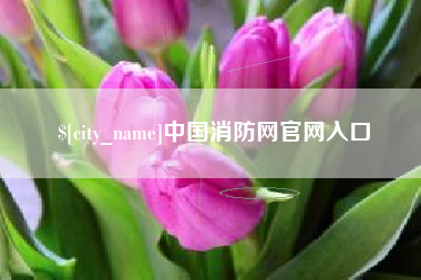 大兴安岭中国消防网官网入口