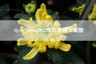 大兴安岭2022年九宫格飞星图