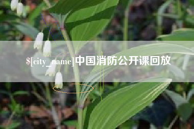 大兴安岭中国消防公开课回放