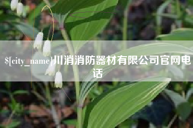大兴安岭川消消防器材有限公司官网电话