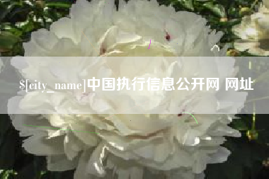 大兴安岭中国执行信息公开网 网址