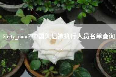 大兴安岭中国失信被执行人员名单查询