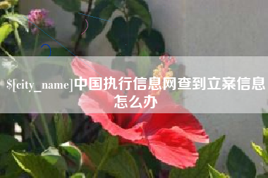 大兴安岭中国执行信息网查到立案信息怎么办
