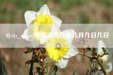 大兴安岭我国消防日是几月几日几日