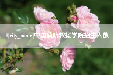 大兴安岭中国消防救援学院招生人数