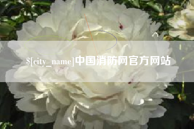 大兴安岭中国消防网官方网站