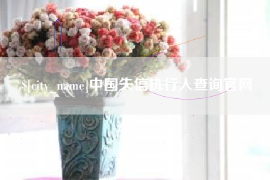 大兴安岭中国失信执行人查询官网